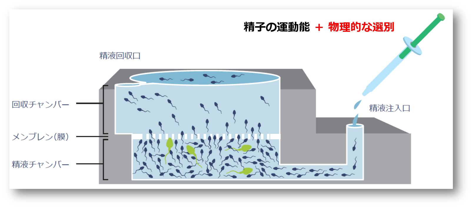 佐久平エンゼルクリニック